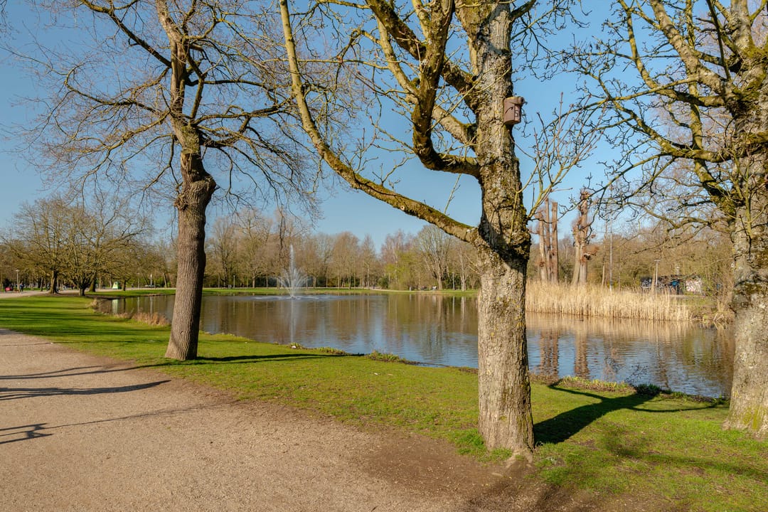 Photo 37 of Van Eeghenstraat 117-B