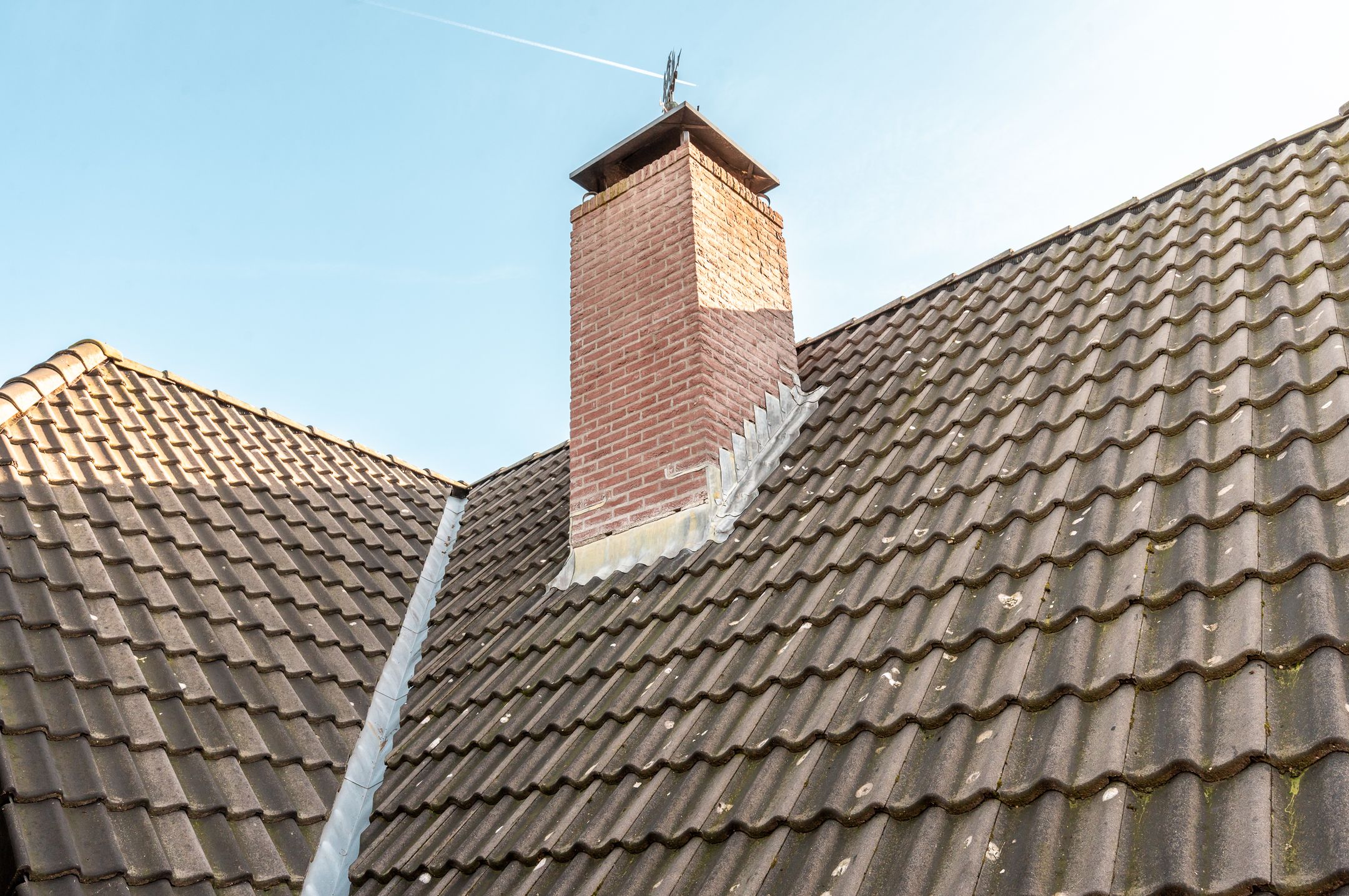 Foto 36 van Galjoen 20 23