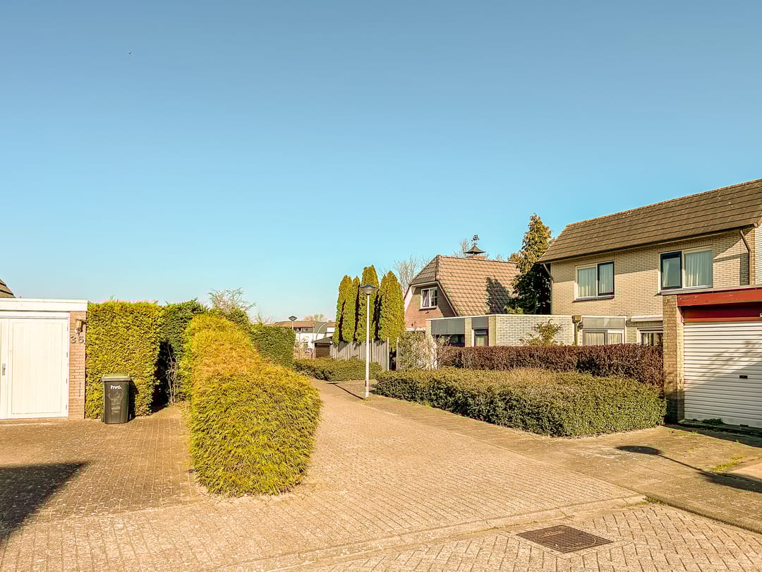 Foto 41 van Galjoen 20 23