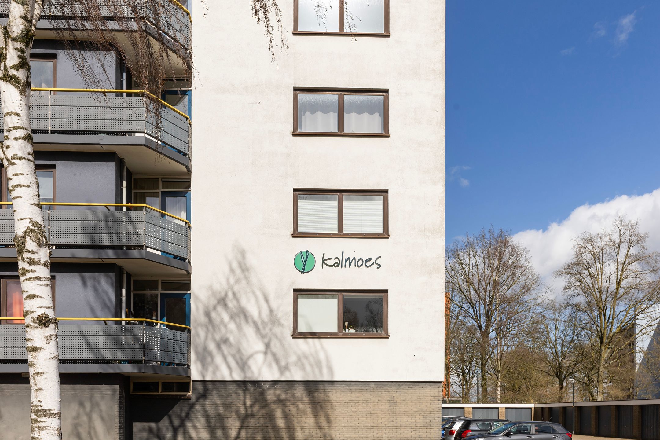 Foto 3 van Kalmoesstraat 205