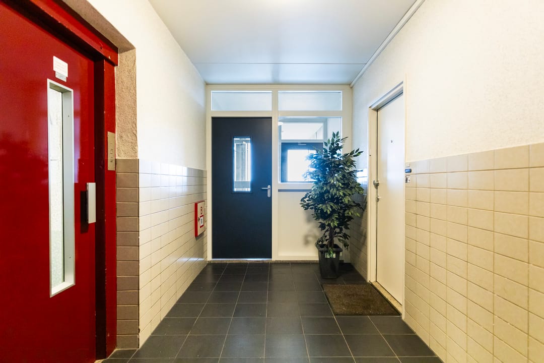 Foto 8 van Kalmoesstraat 205