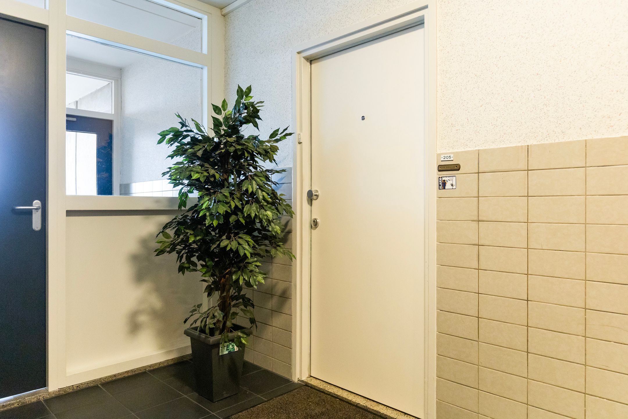 Foto 9 van Kalmoesstraat 205