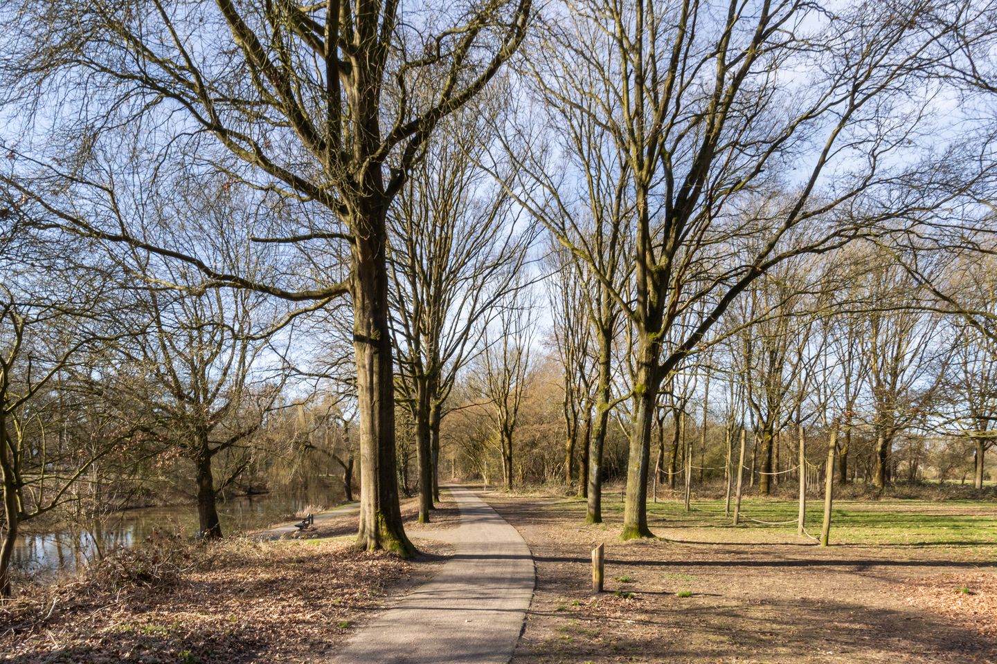 Foto 35 van Kalmoesstraat 205