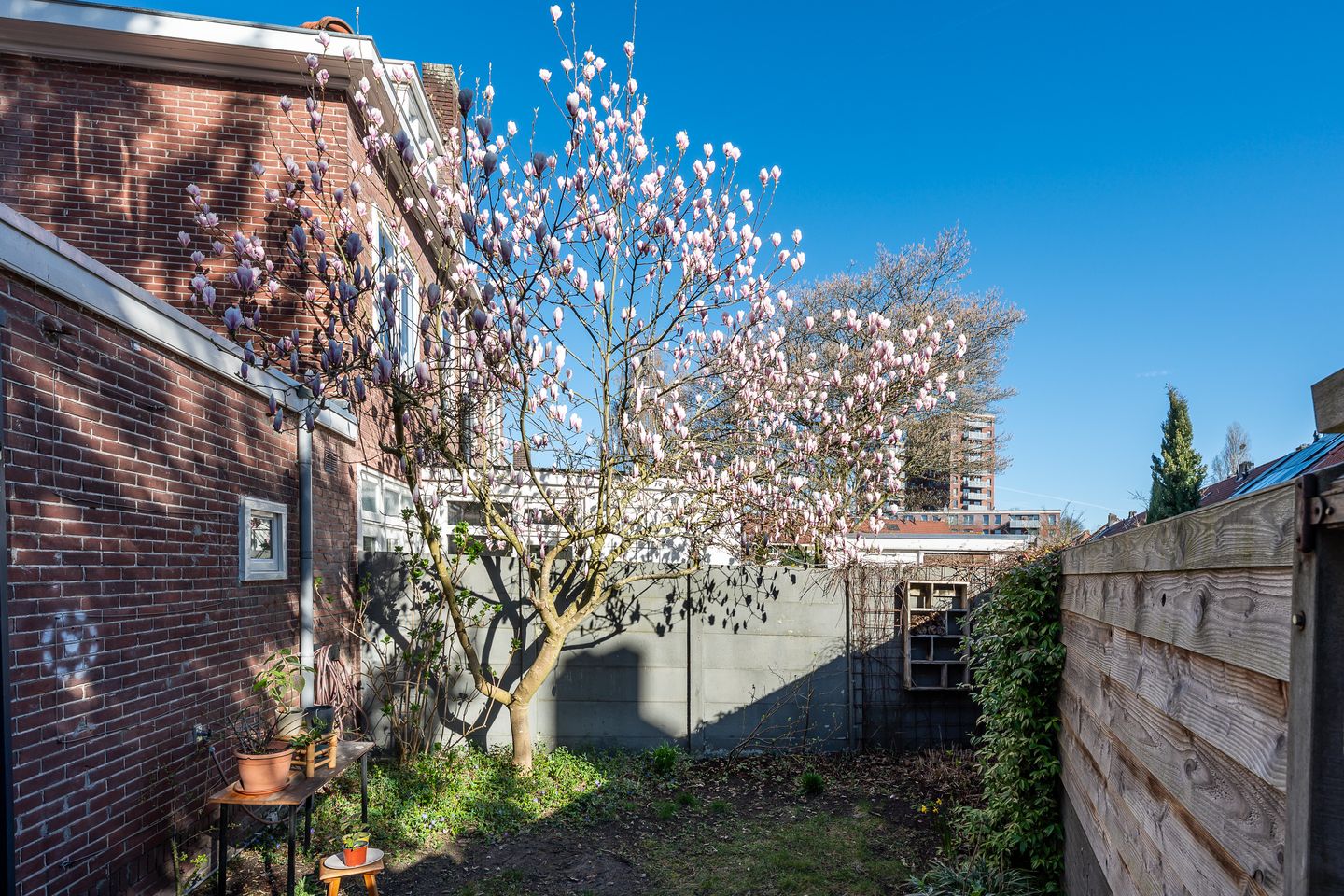 Foto 35 van Distelstraat 25