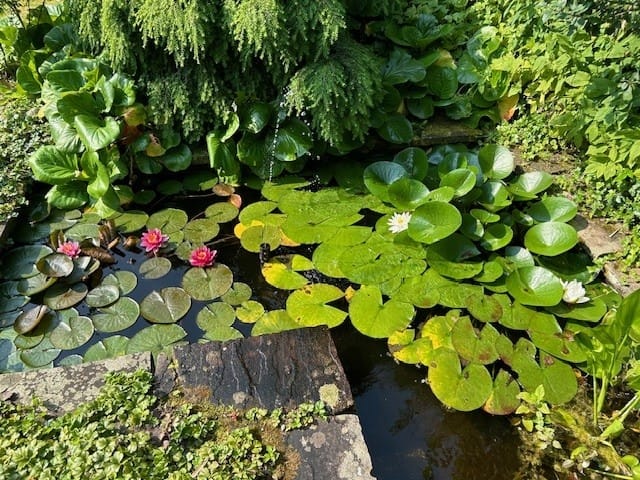 Foto 14 van Nieuweweg 39-C