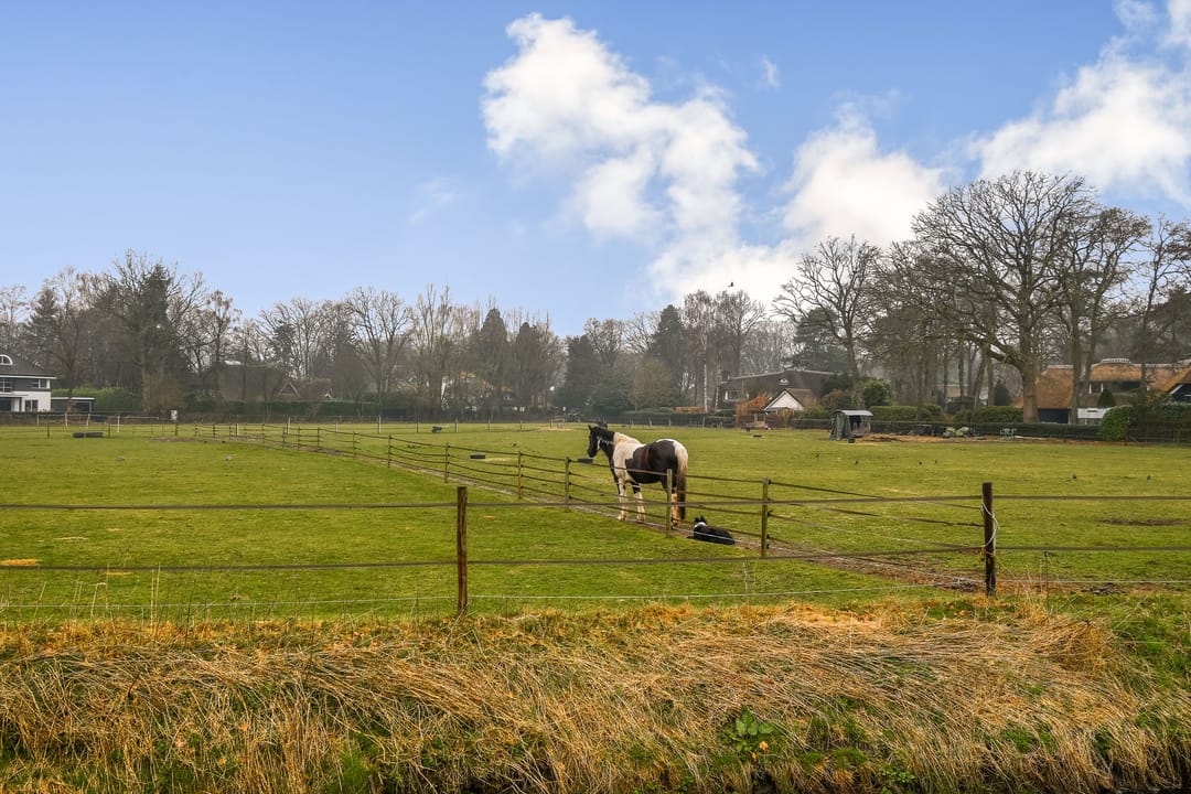 Foto 38 van Nieuweweg 39-C