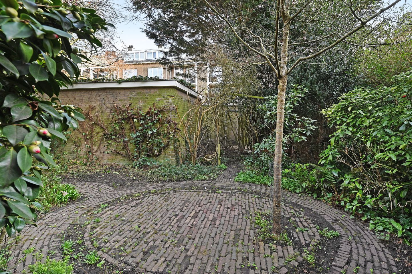 Foto 20 van Balsemienlaan 238