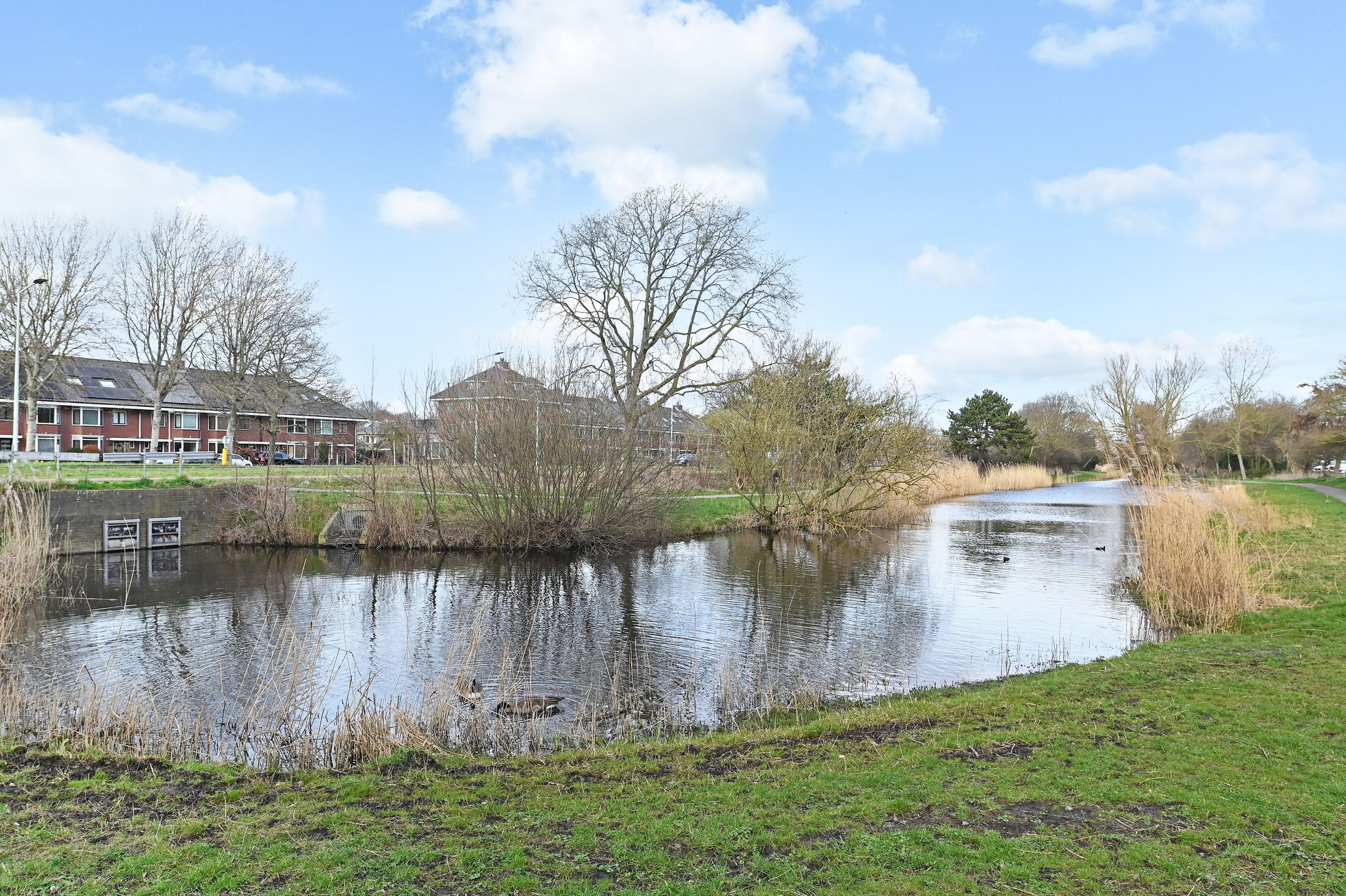 Foto 36 van Balsemienlaan 238