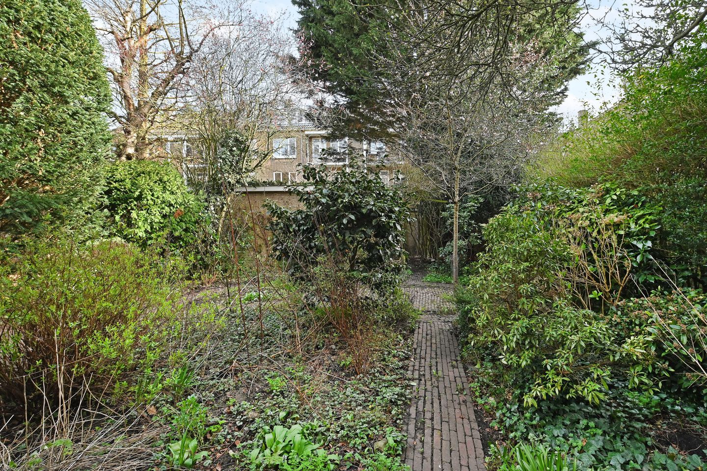 Foto 19 van Balsemienlaan 238