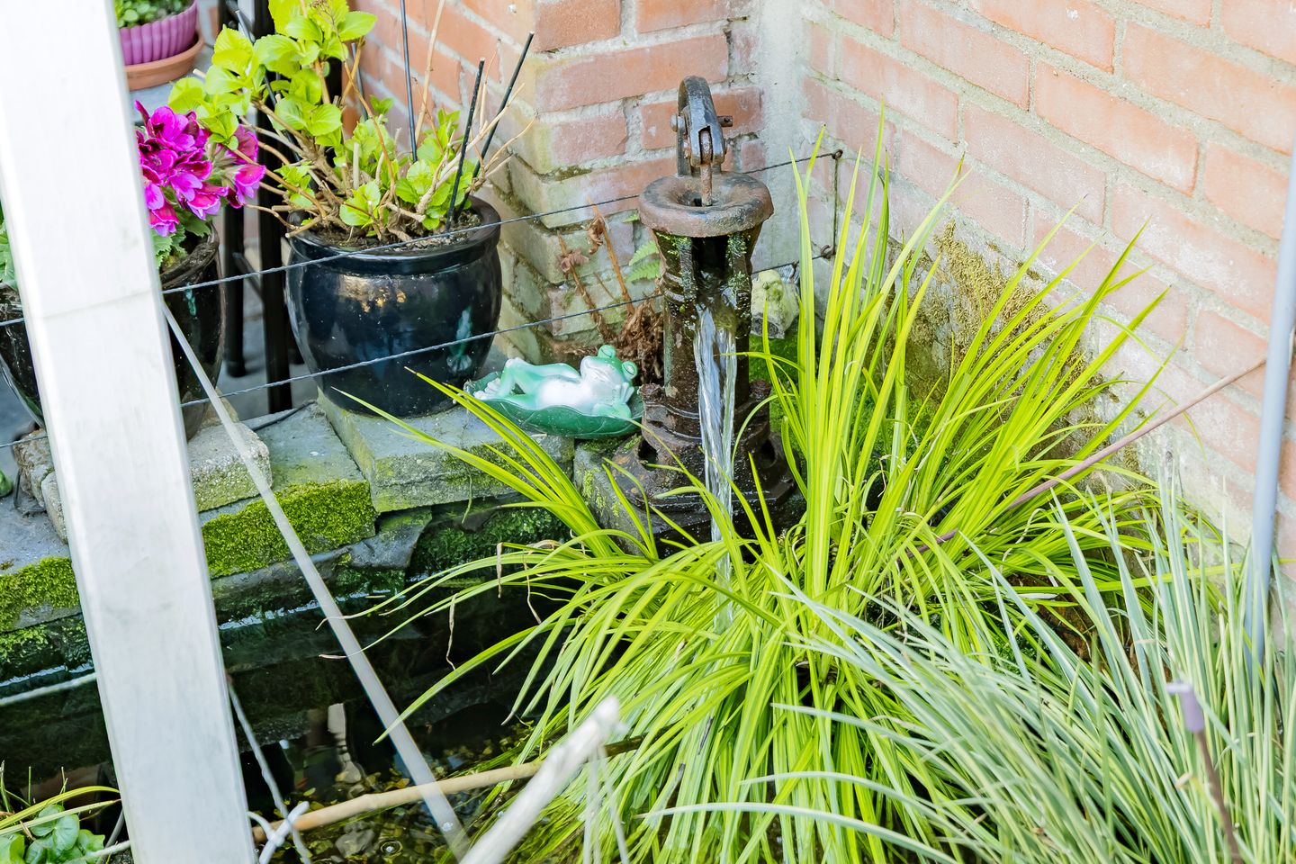 Foto 44 van Gladiolenlaan 62