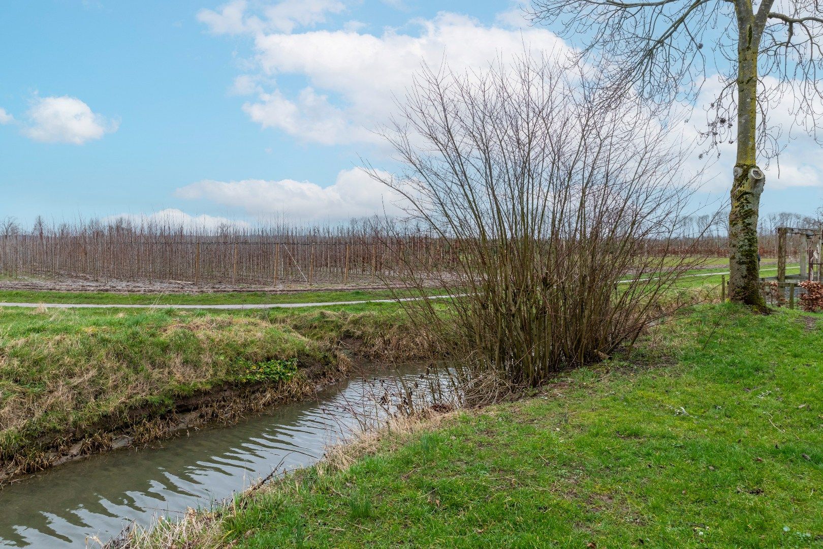 Photo 66 of Kermenstein 80