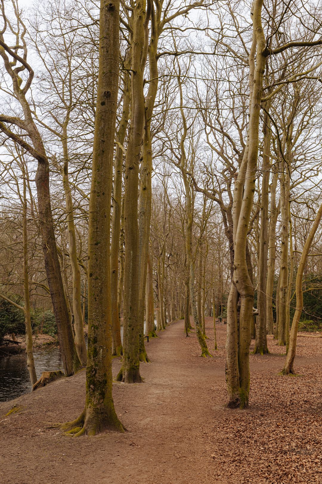 Foto 38 van Van Soutelandelaan 22