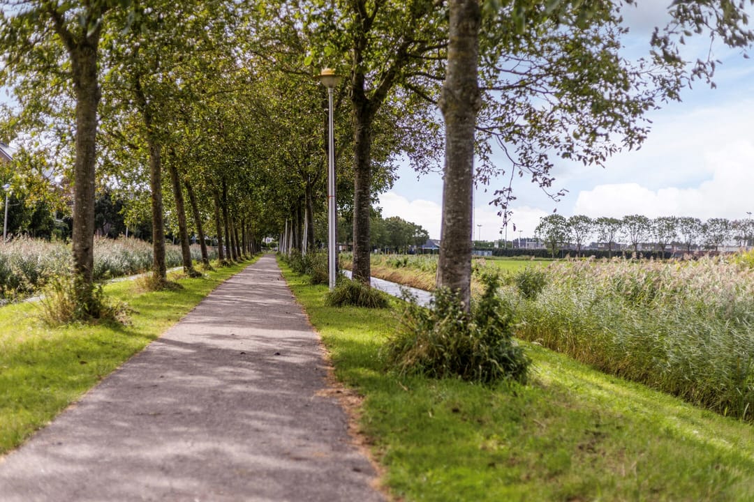 Foto 53 van Fazantstraat 39