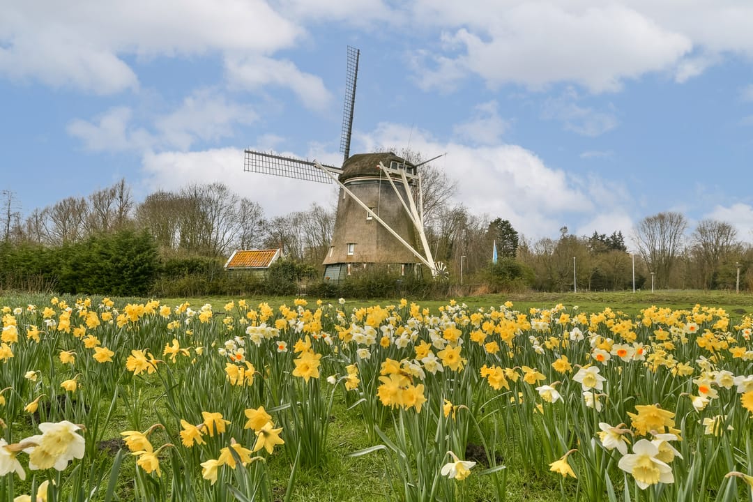 Foto 23 van Hillenraadt 59