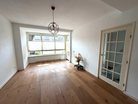 Van den Berghlaan 409 tertiary image