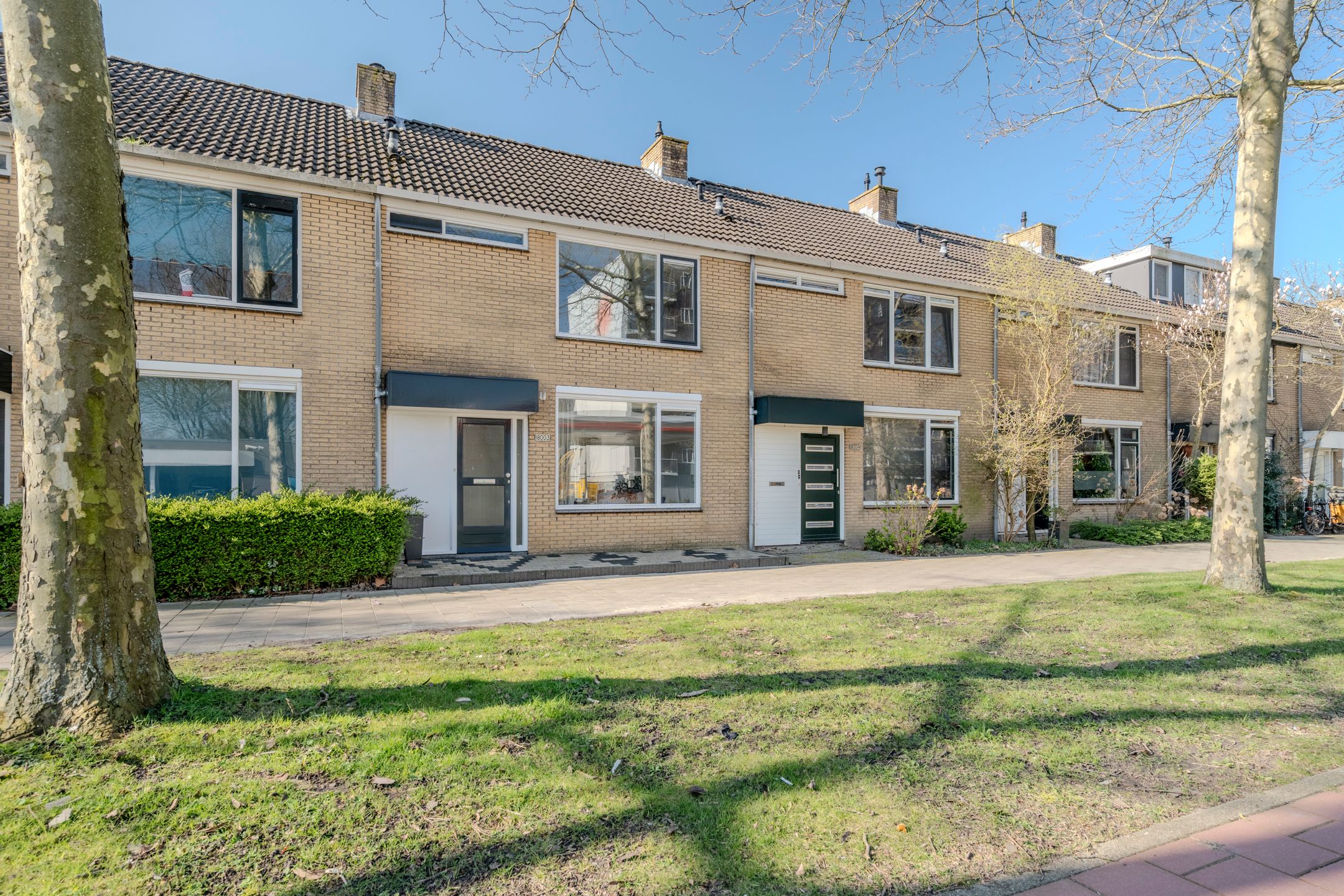 Graan voor Visch 18003 