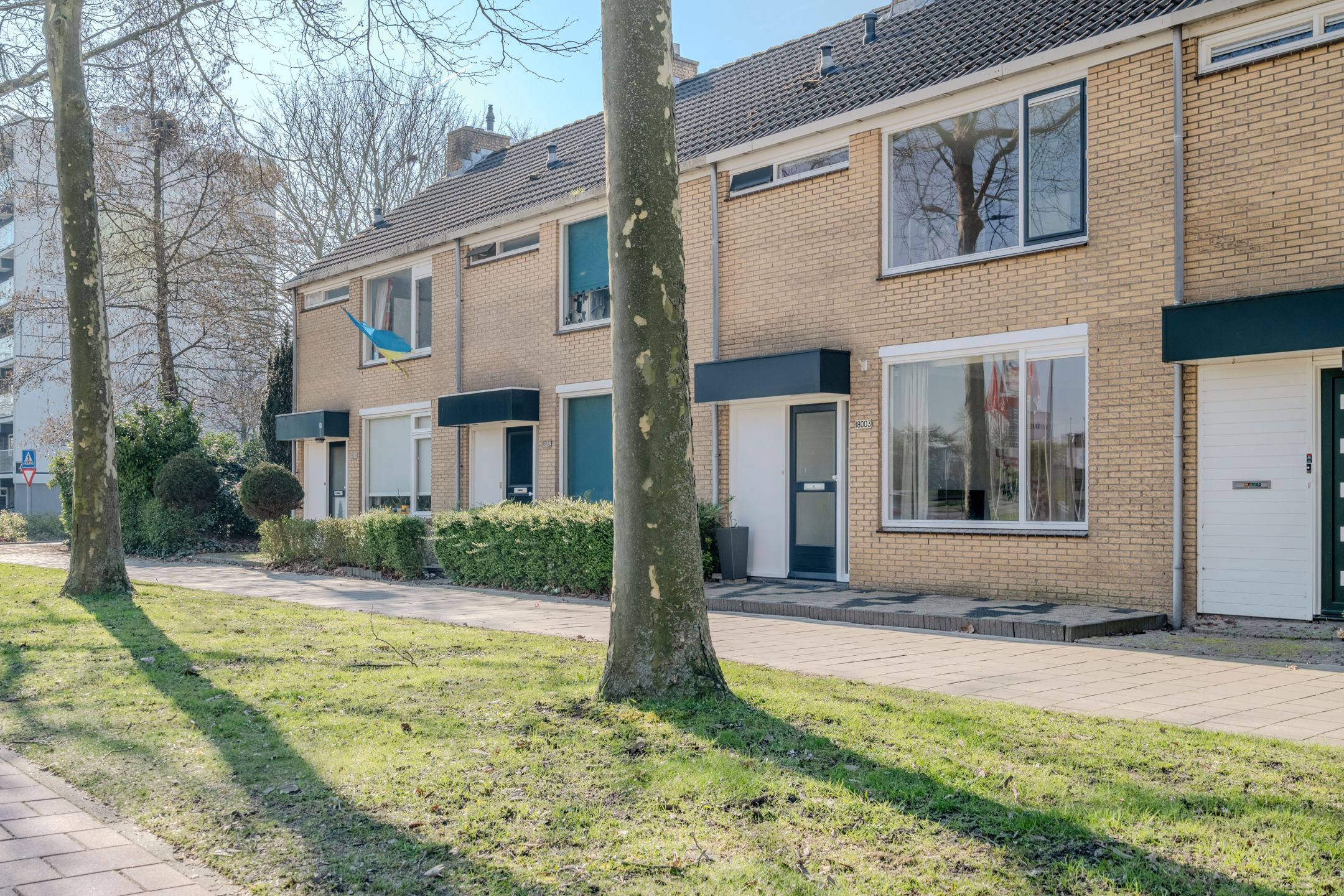 Foto 51 van Graan voor Visch 18003