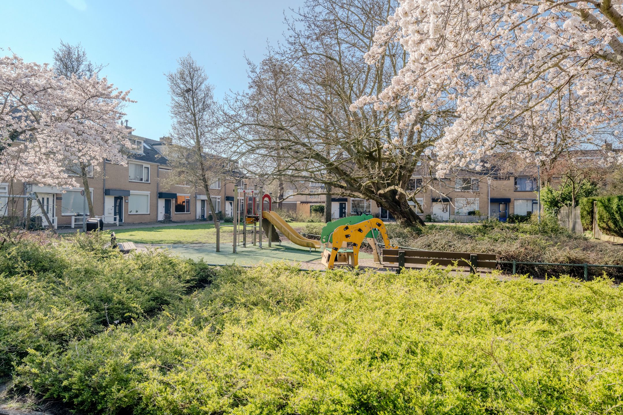 Foto 60 van Graan voor Visch 18003