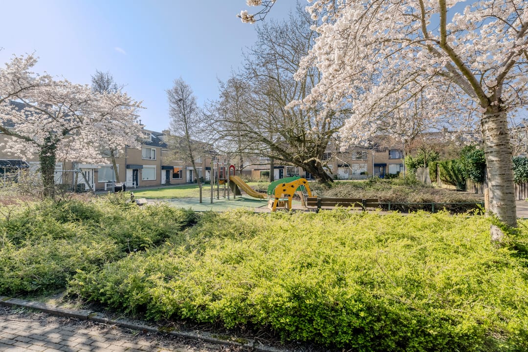 Foto 61 van Graan voor Visch 18003