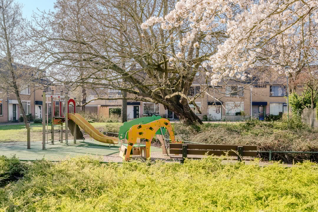 Foto 62 van Graan voor Visch 18003