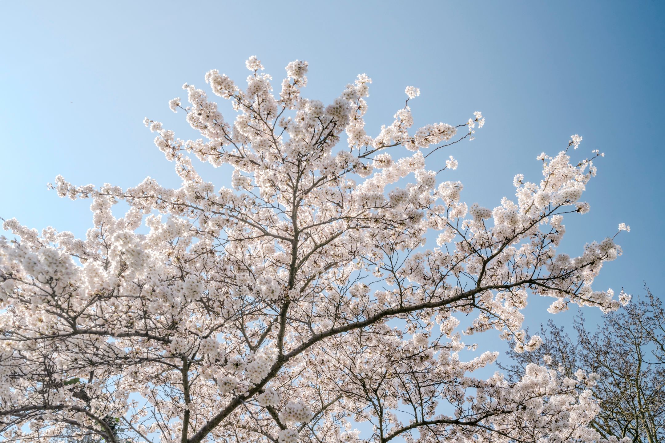 Foto 63 van Graan voor Visch 18003