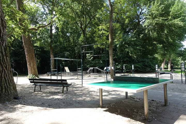 Photo 4 of Sarphatipark 114-3