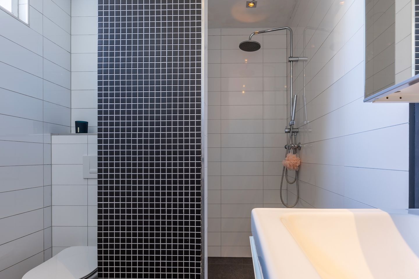 Move-in Ready Family Home with Solar Panels and Garden in Bergen op Zoom — 20