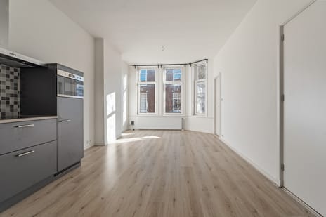 Van Loostraat 115 secondary image