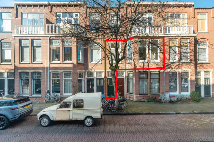 Van Loostraat 115 main image