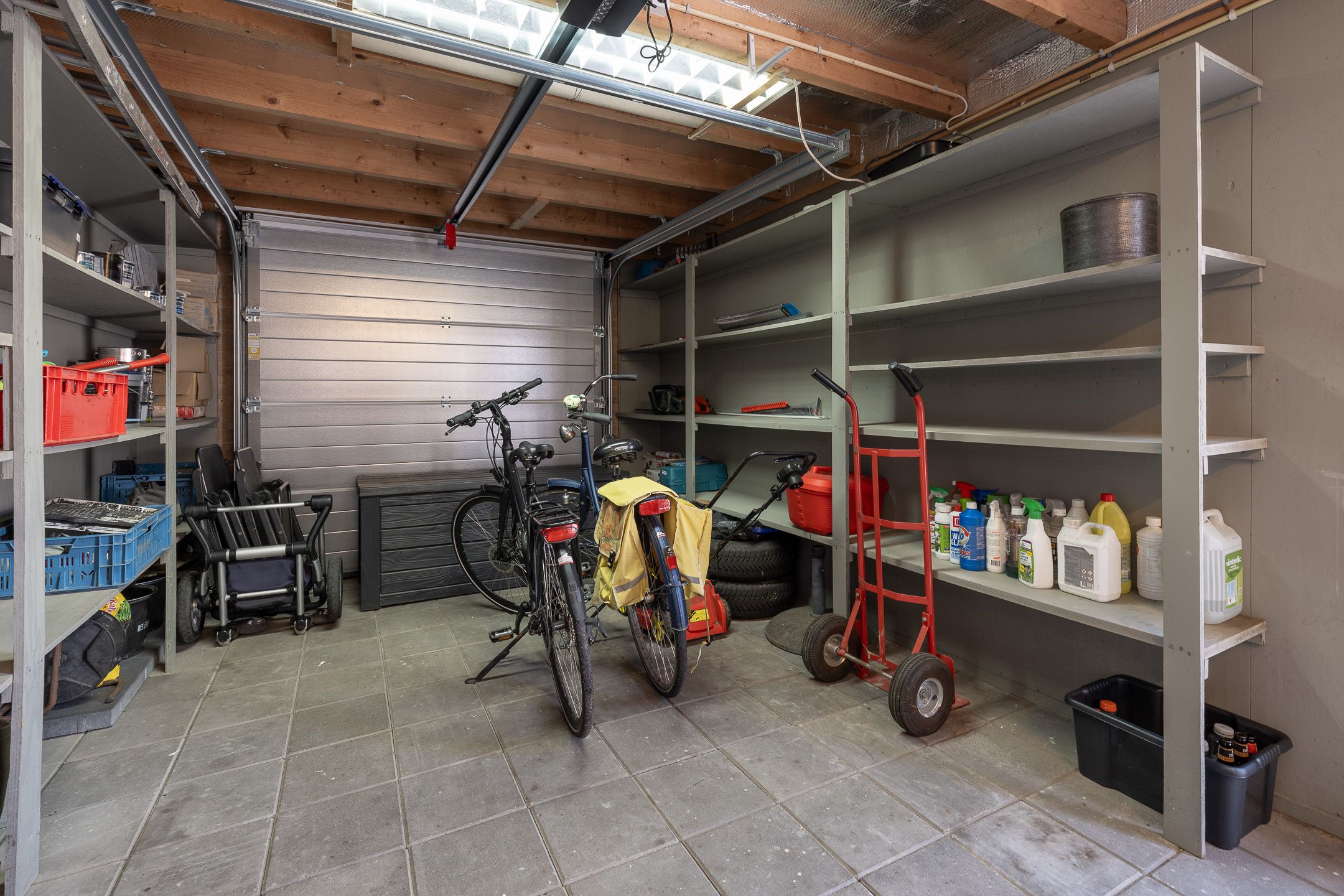 Foto 42 van Wildzoom 42