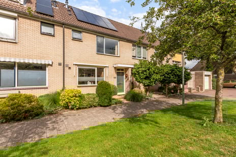 undefined main image