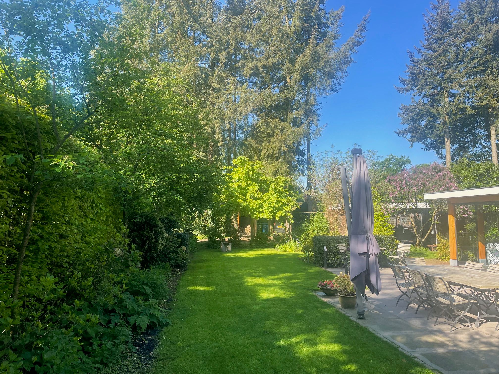 Photo 48 of Veldekster 25