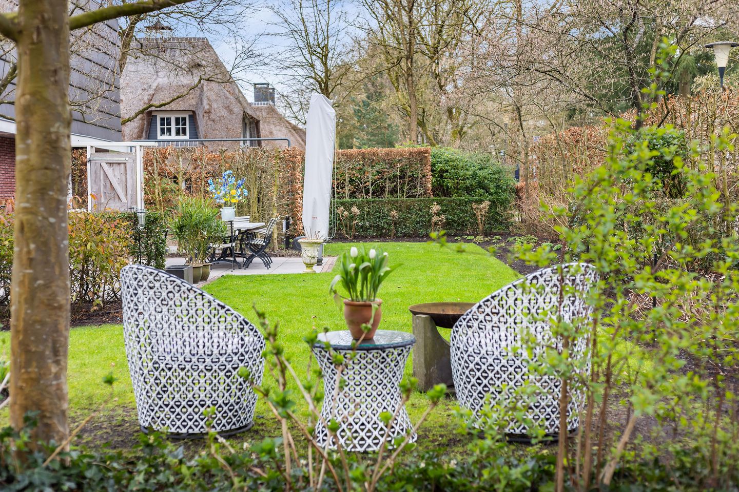 Photo 55 of Veldekster 25