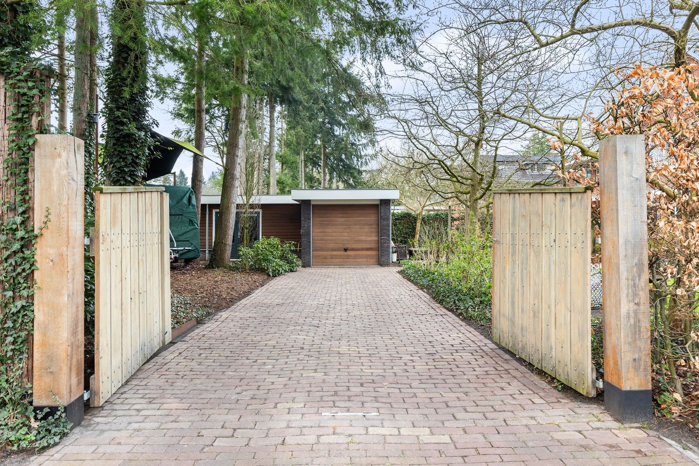 Photo 65 of Veldekster 25