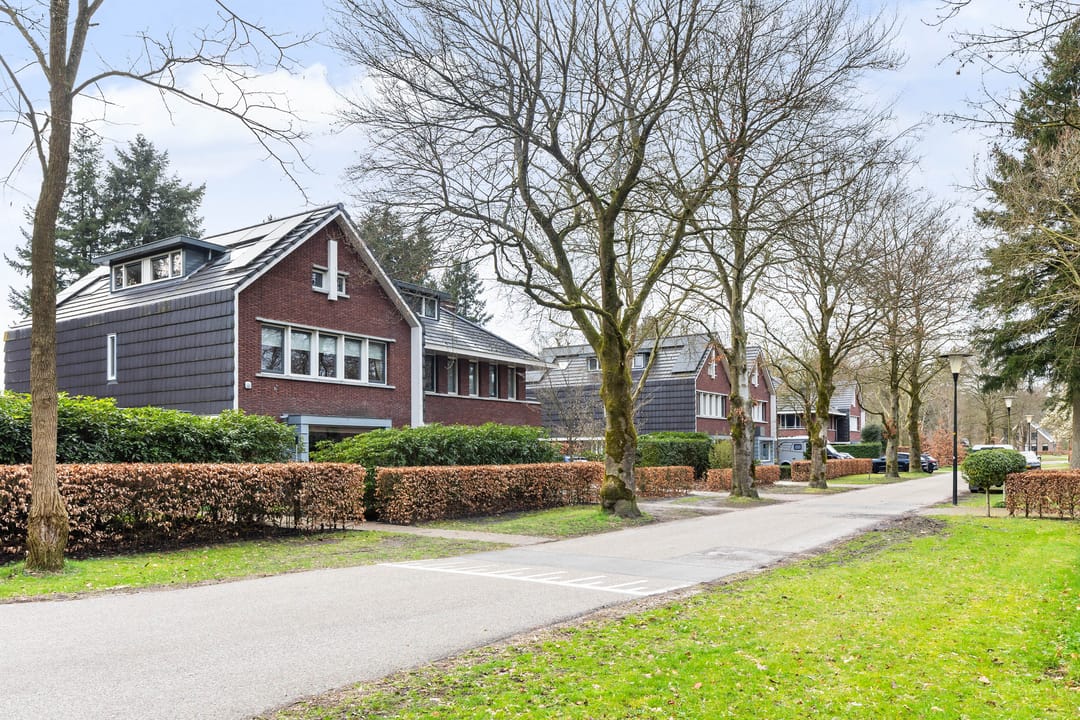 Photo 67 of Veldekster 25