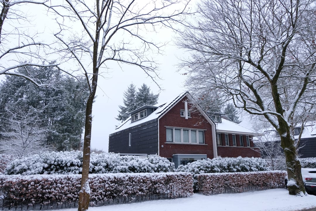 Photo 68 of Veldekster 25