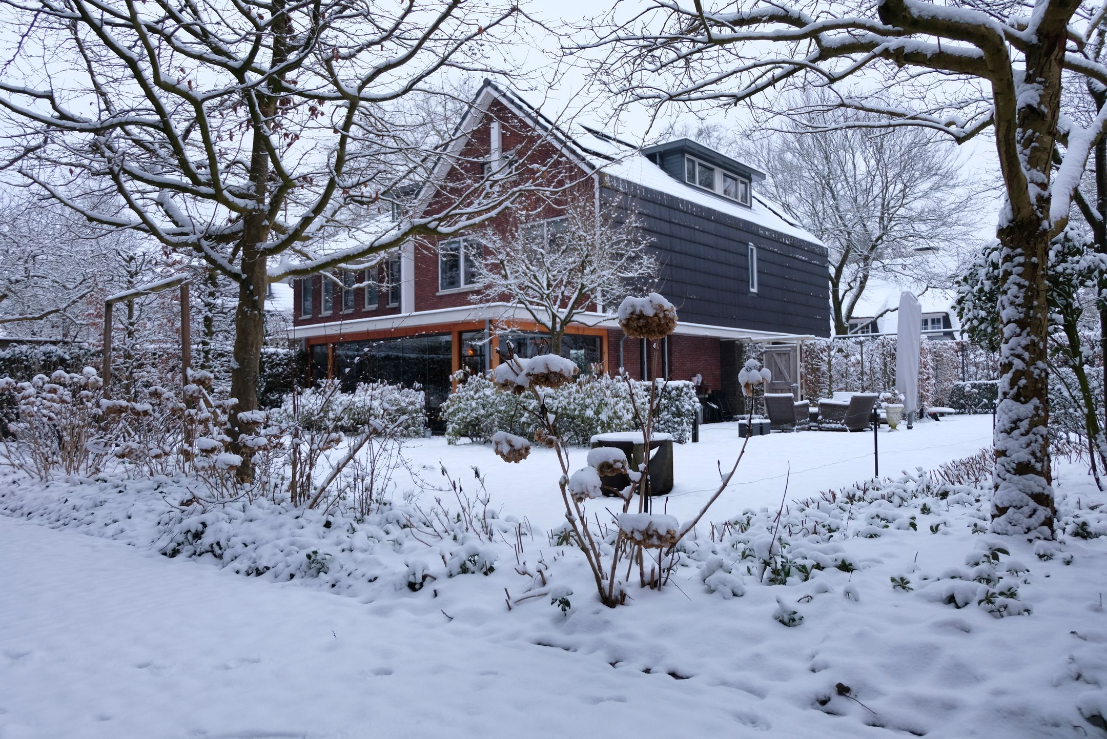 Photo 69 of Veldekster 25