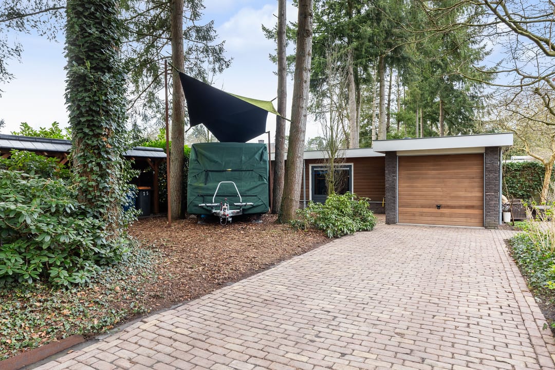 Photo 61 of Veldekster 25