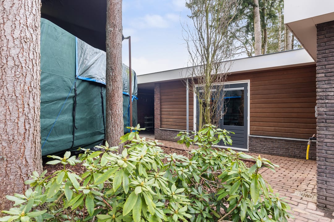 Photo 62 of Veldekster 25