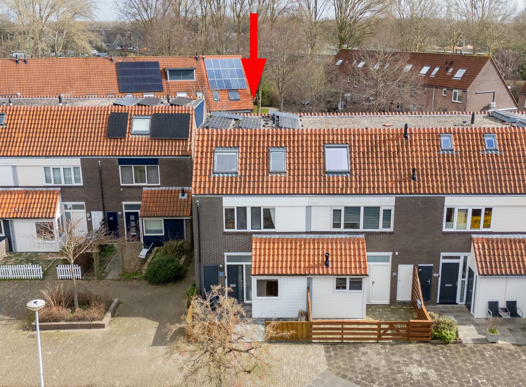 Photo 7 of de Windhond 23