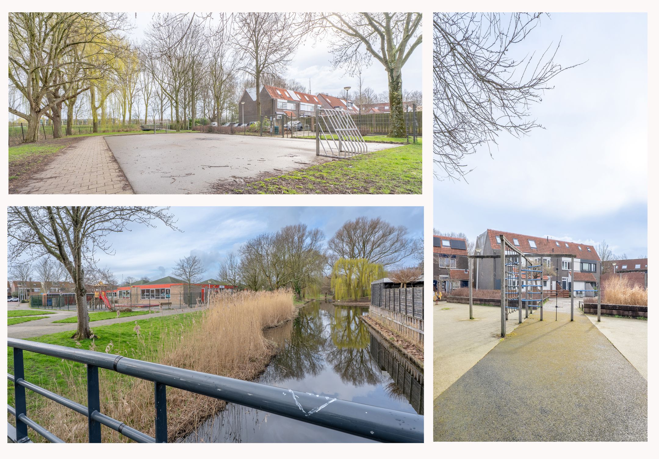 Photo 42 of de Windhond 23