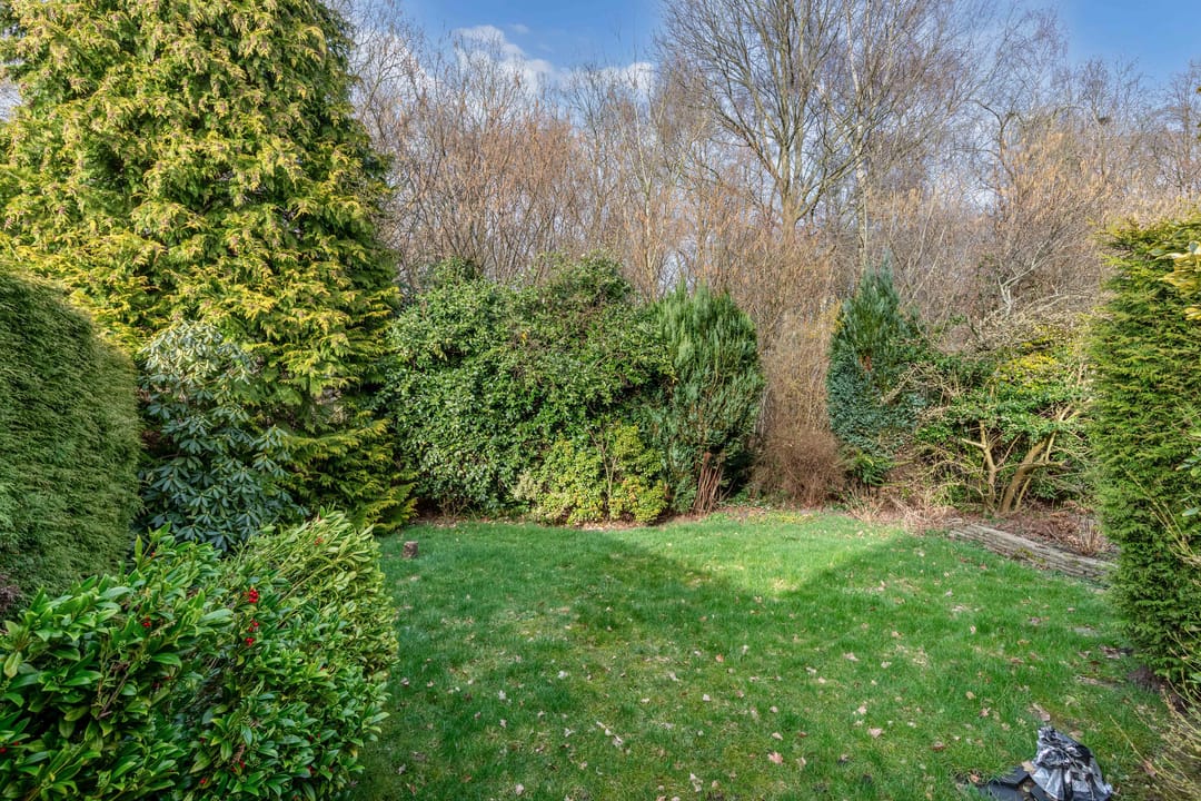 Foto 32 van Rietlanden 10