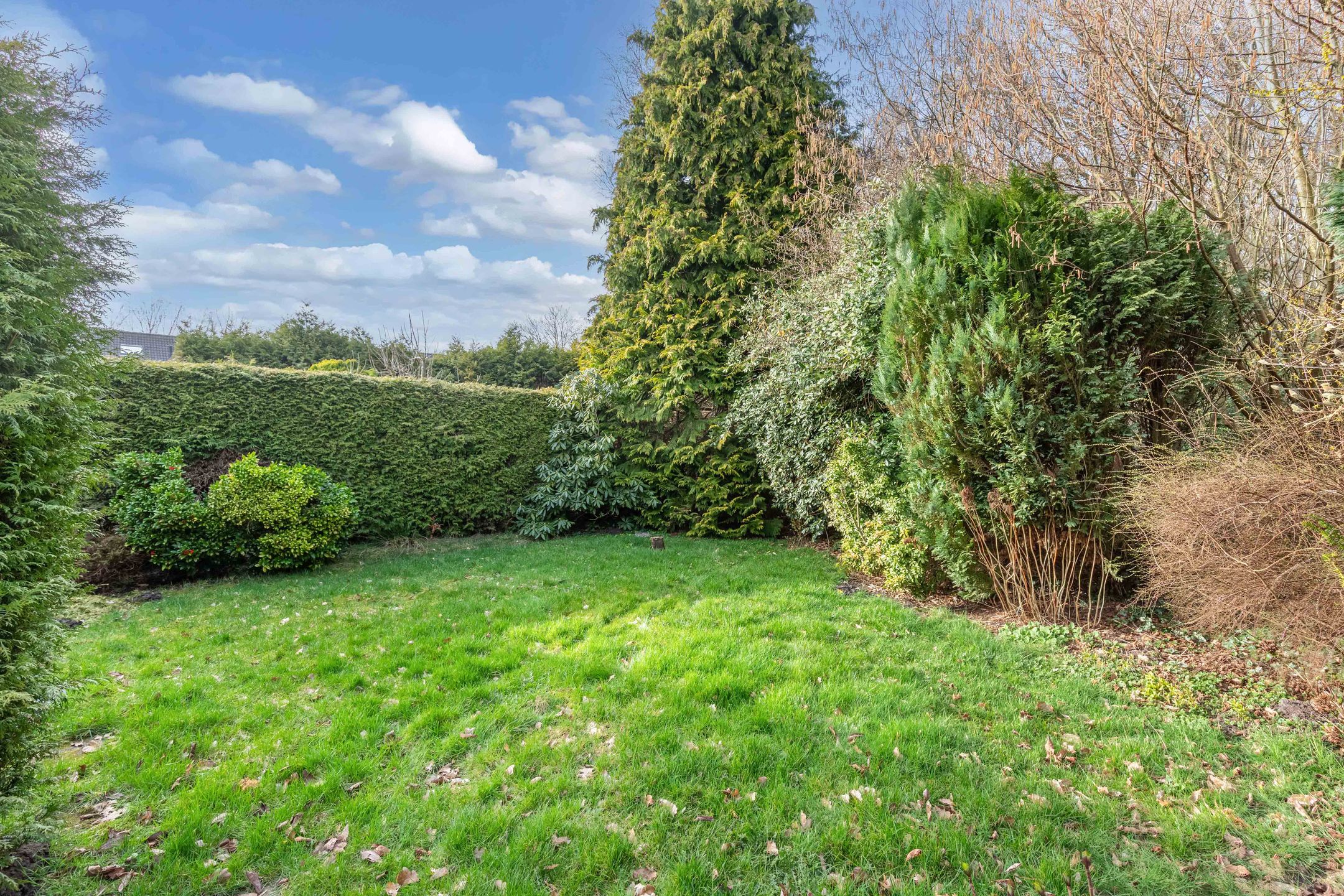 Foto 33 van Rietlanden 10