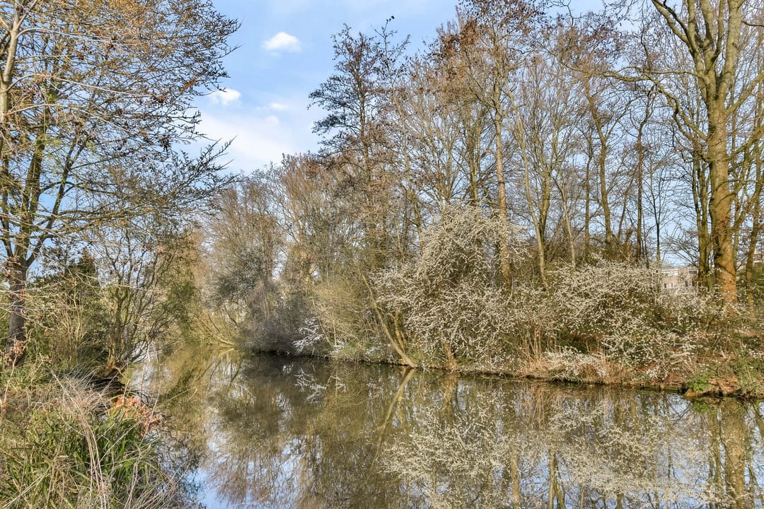 Photo 28 of Koggeschip 47