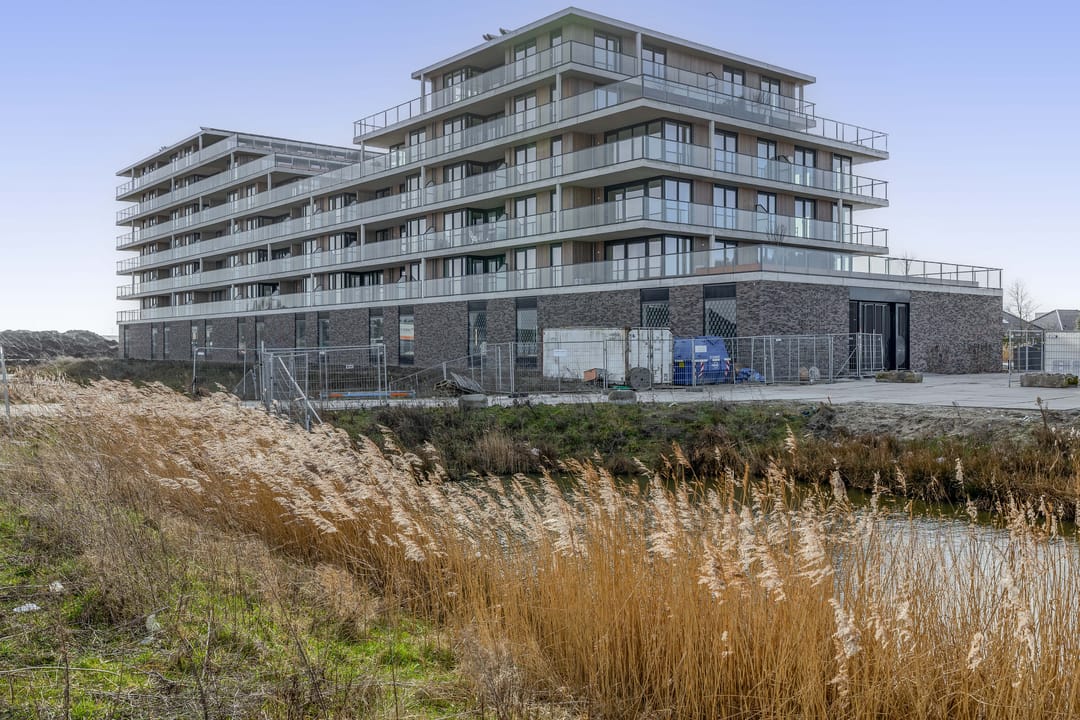 Foto 1 van Korenwolf 10