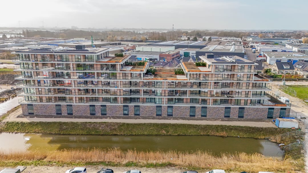 Foto 2 van Korenwolf 10