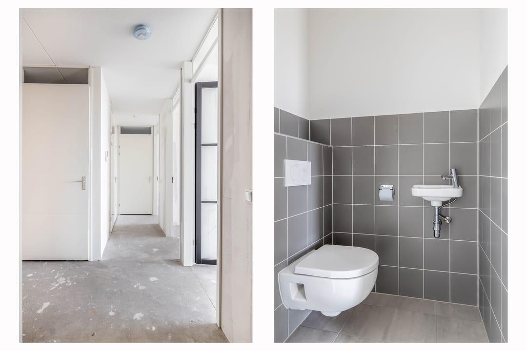 Foto 8 van Korenwolf 10