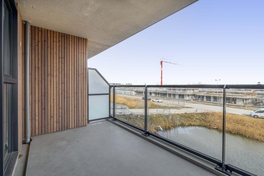 Foto 13 van Korenwolf 10