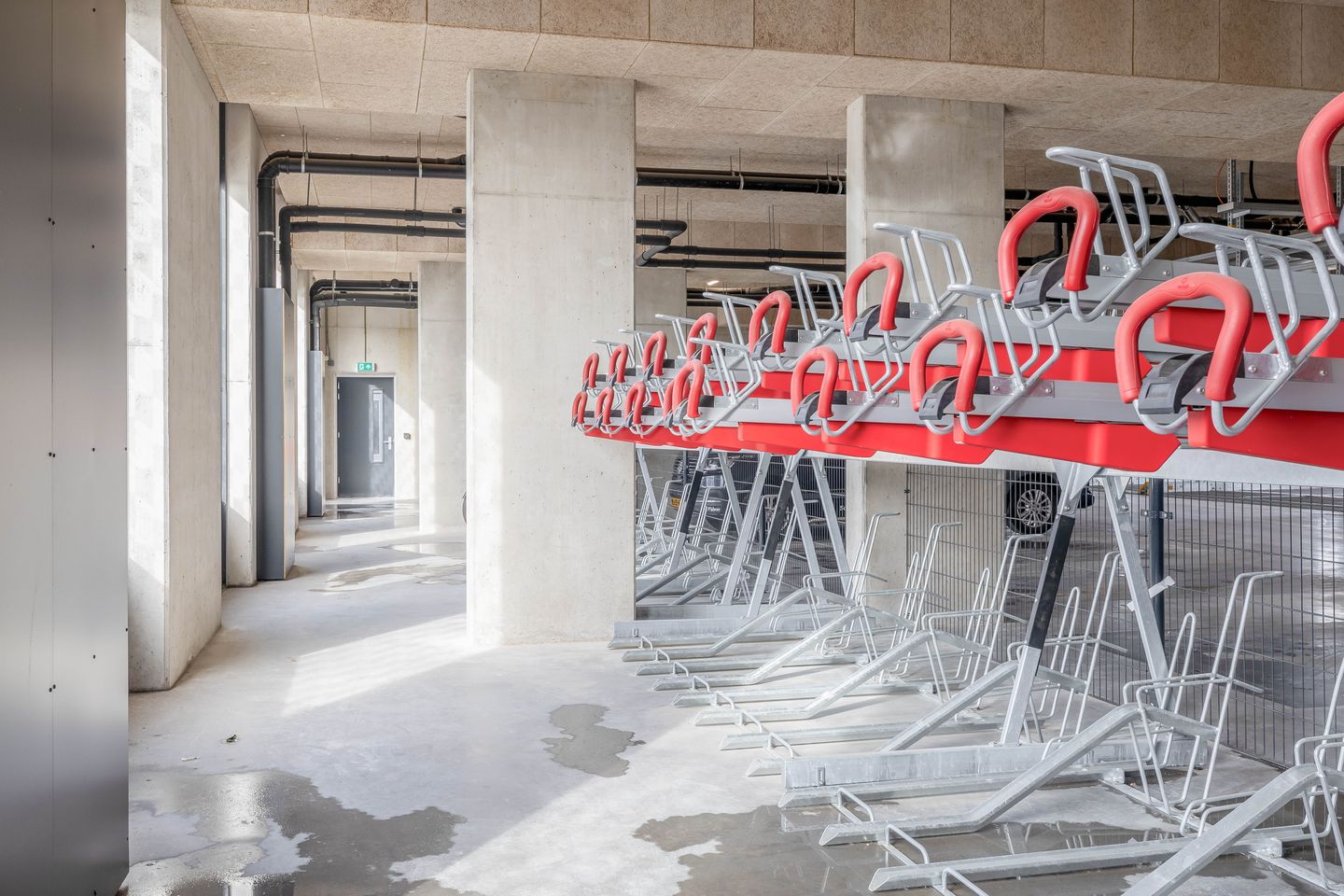 Foto 20 van Korenwolf 10