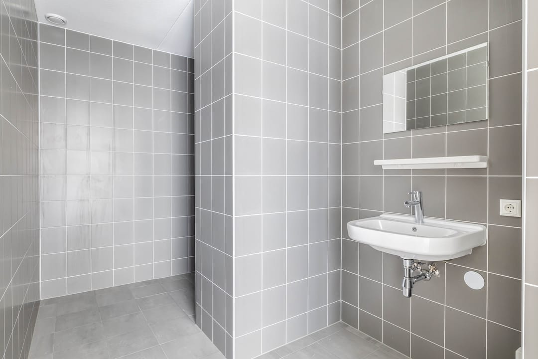 Foto 16 van Korenwolf 10